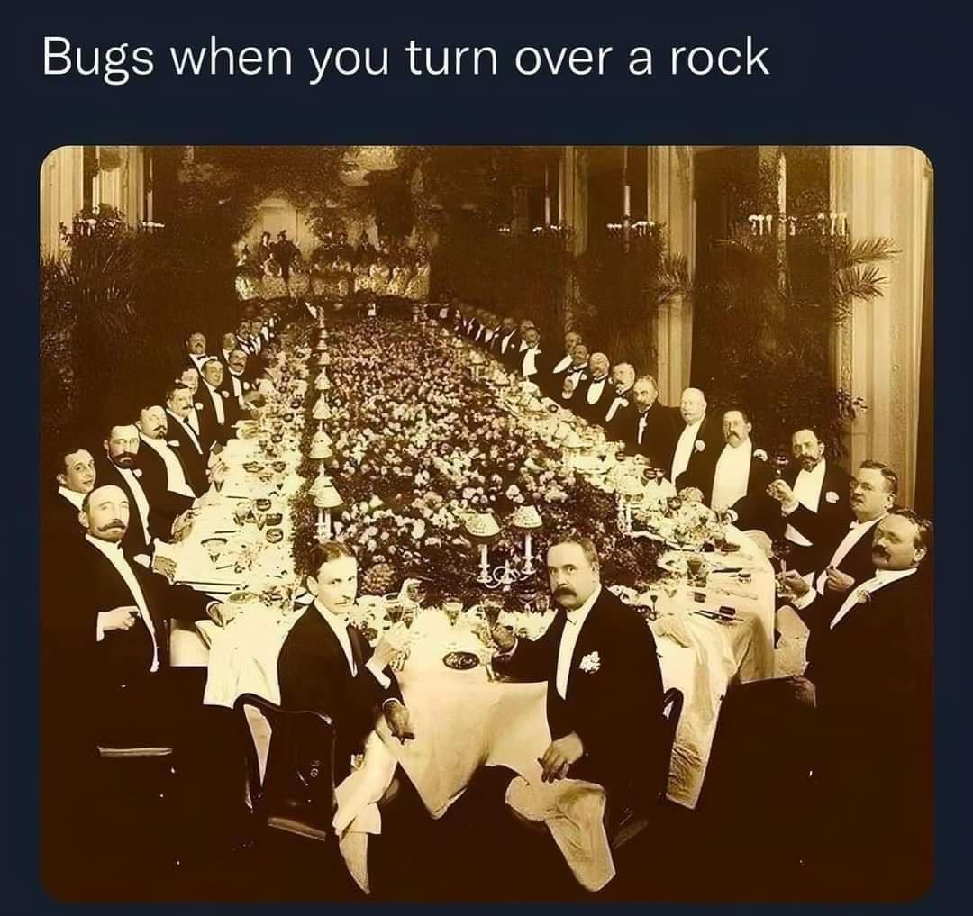 funny memes - dinner party at hotel astor 1904 - Bugs when you turn over a rock