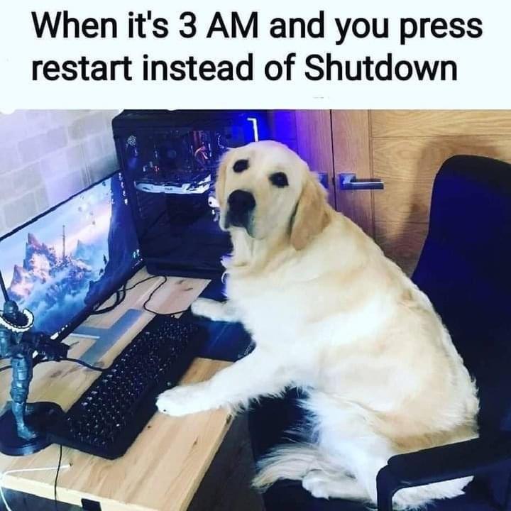 monday morning randomness - dog - When it's 3 Am and you press restart instead of Shutdown