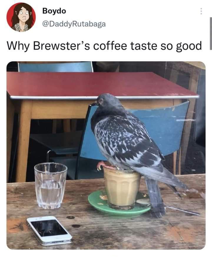 monday morning randomness - fauna - Boydo Why Brewster's coffee taste so good.