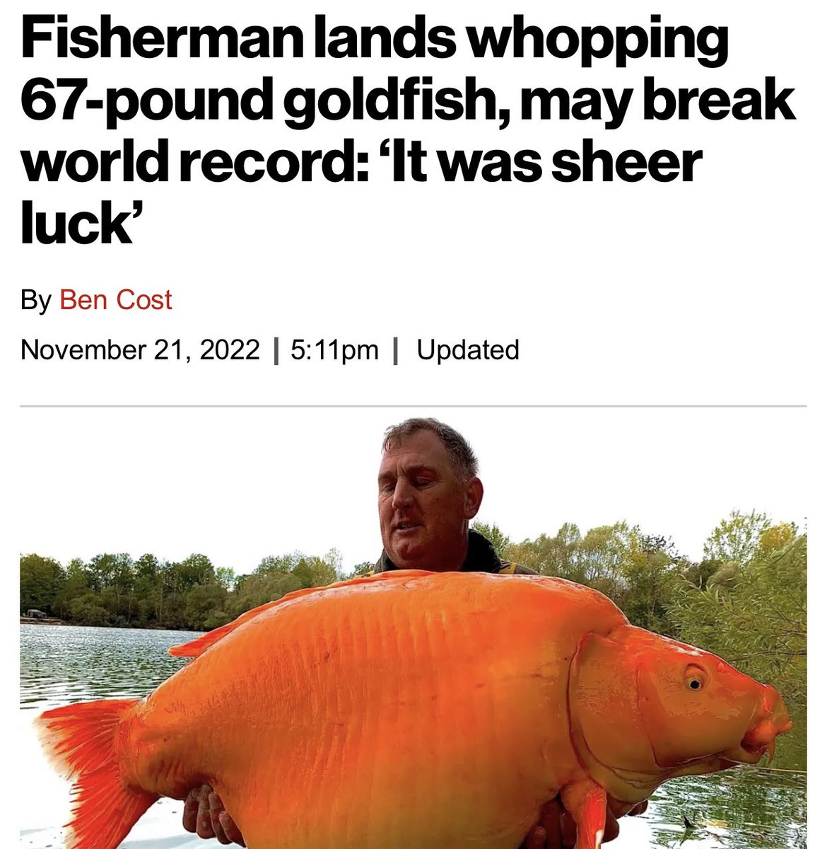 dudes posting their w's - giant goldfish caught - Fisherman lands whopping 67pound goldfish, may break world record 'It was sheer luck' By Ben Cost | pm | Updated