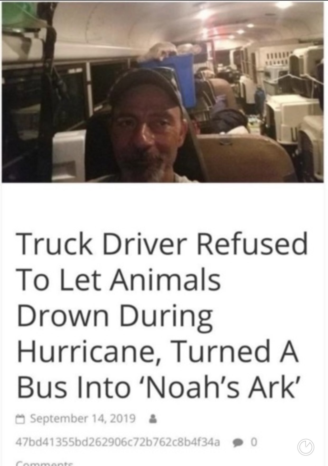 dudes posting their w's - photo caption - Truck Driver Refused To Let Animals Drown During Hurricane, Turned A Bus Into 'Noah's Ark' 47bd41355bd262906c72b762c8b4f34a 0