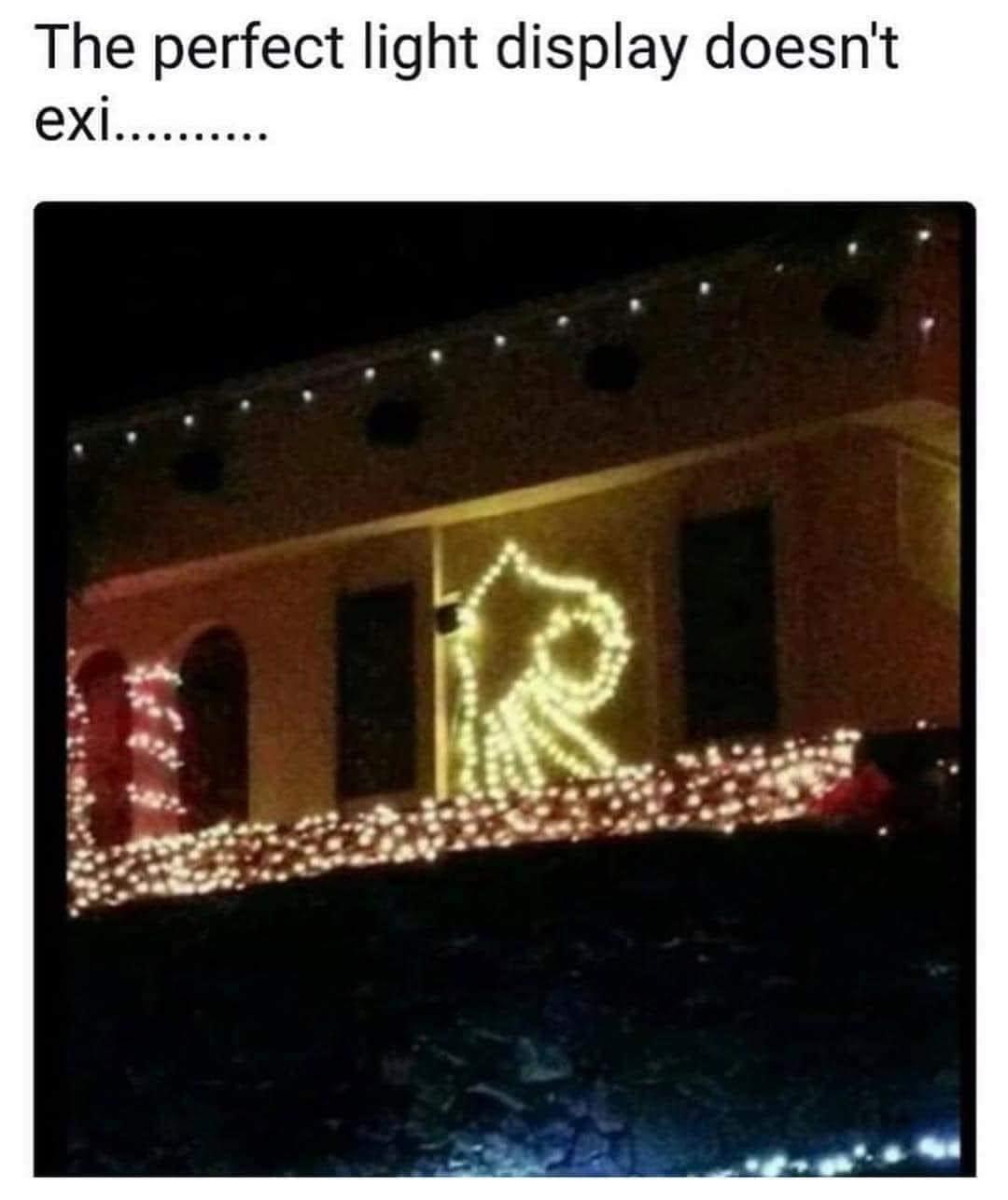 funny christmas lights meme - The perfect light display doesn't exi..........