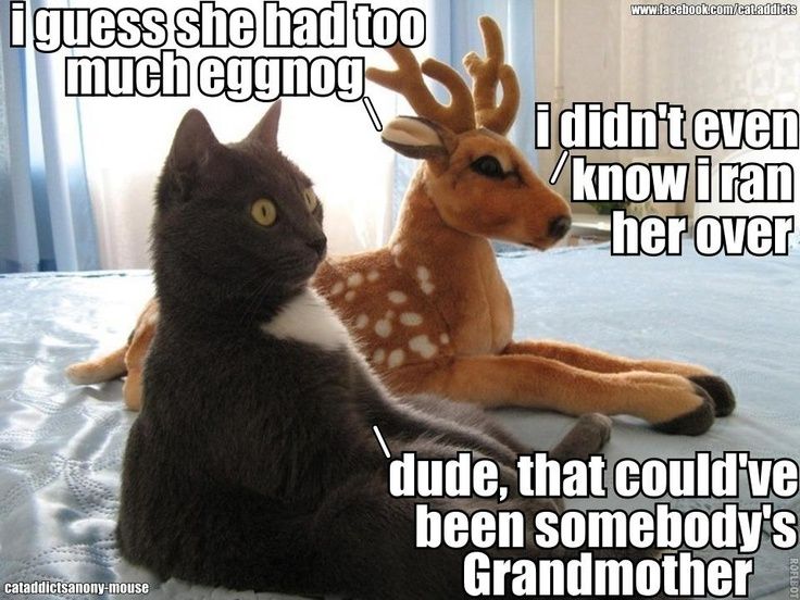 reindeer meme - i guess she had too much eggnog cataddictsanonymouse i didn't even know i ran her over dude, that could've been somebody's Grandmother Roflbot