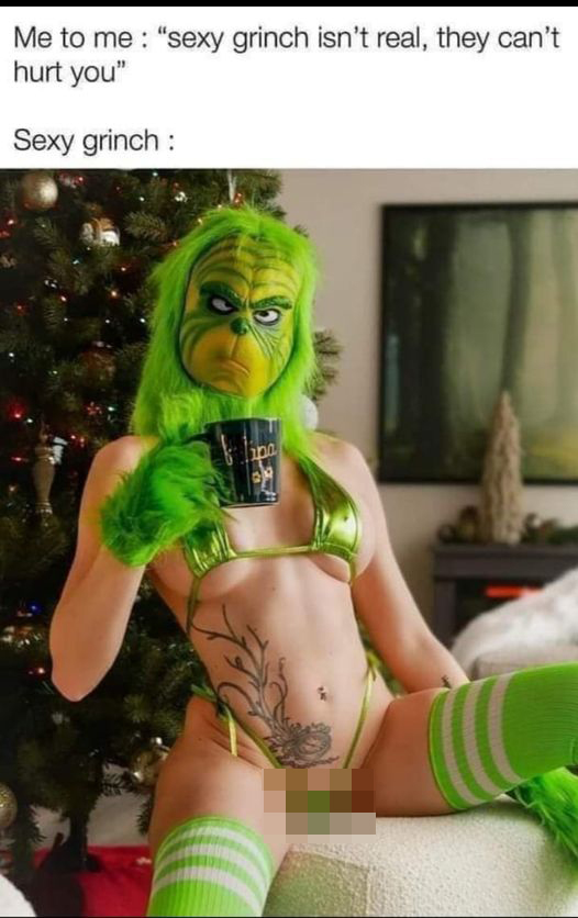 spicy memes for tantric tuesday - photo caption - Me to me "sexy grinch isn't real, they can't hurt you" Sexy grinch ipa