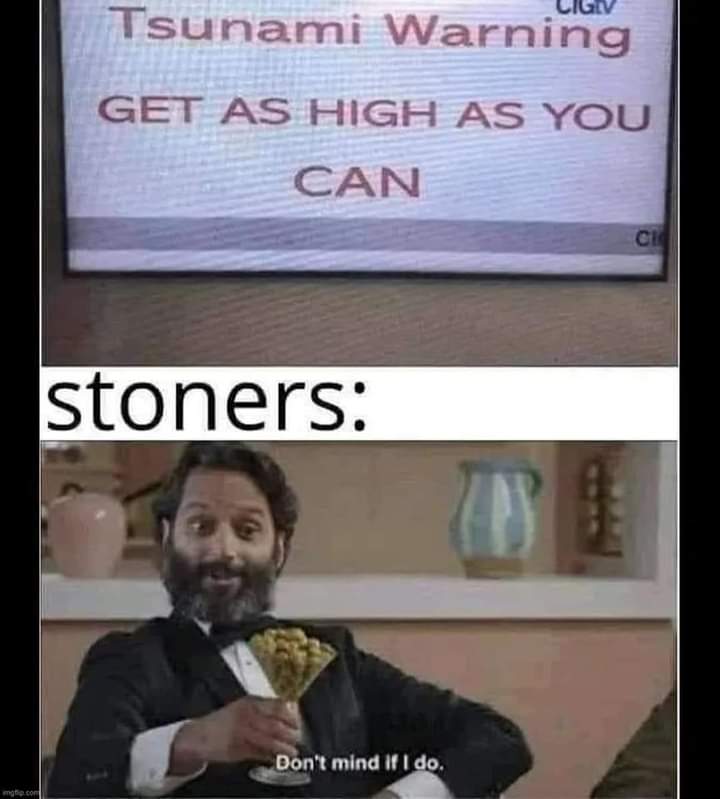 funny memes and pics - it's high time memes - mgp.com Tsunami Warning Get As High As You Can stoners Don't mind if I do. Ci