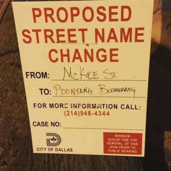 spicy sex memes - penny lane - Proposed Street Name Change From Mckee St To Poontang Boomerang For More Information Call 2149484344 Case No City Of Dallas Minimum $200.00 Fine For Removal Of This Sign Prior To Public Hearing