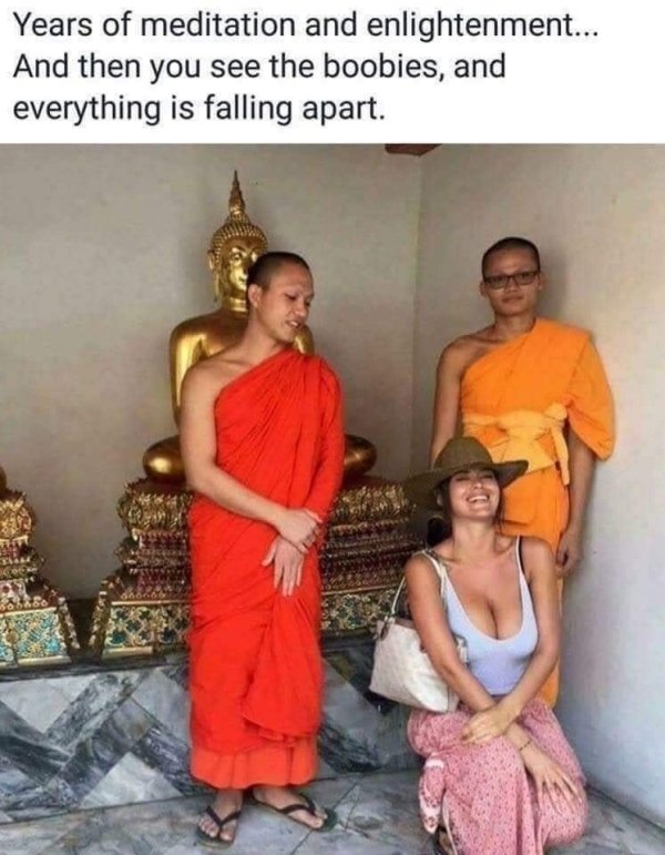 spicy sex memes - monk meme - Years of meditation and enlightenment... And then you see the boobies, and everything is falling apart.