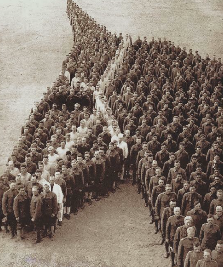 Soldiers pay tribute to the horses, mules, and donkeys that died during WW1.