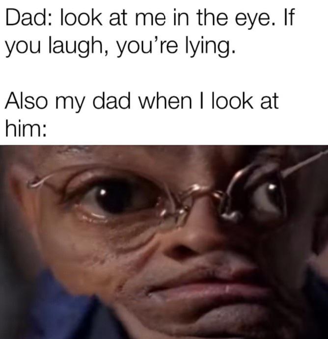 funny memes and pics - photo caption - Dad look at me in the eye. If you laugh, you're lying. Also my dad when I look at him