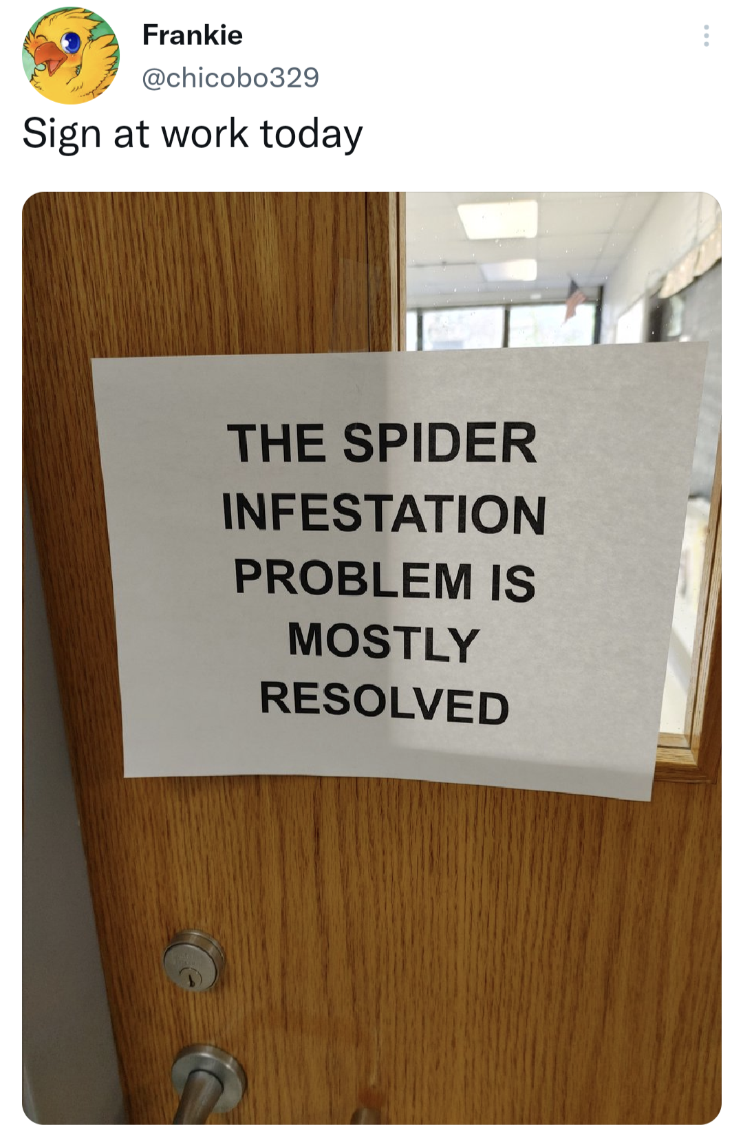 monday morning randomness memes - wood - Frankie Sign at work today The Spider Infestation Problem Is Mostly Resolved
