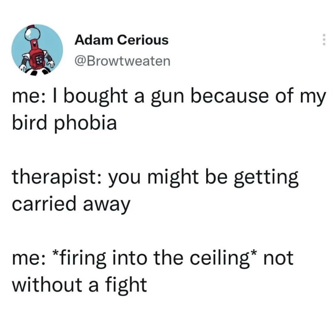 monday morning randomness memes - angle - Adam Cerious me I bought a gun because of my bird phobia therapist you might be getting carried away me firing into the ceiling not without a fight