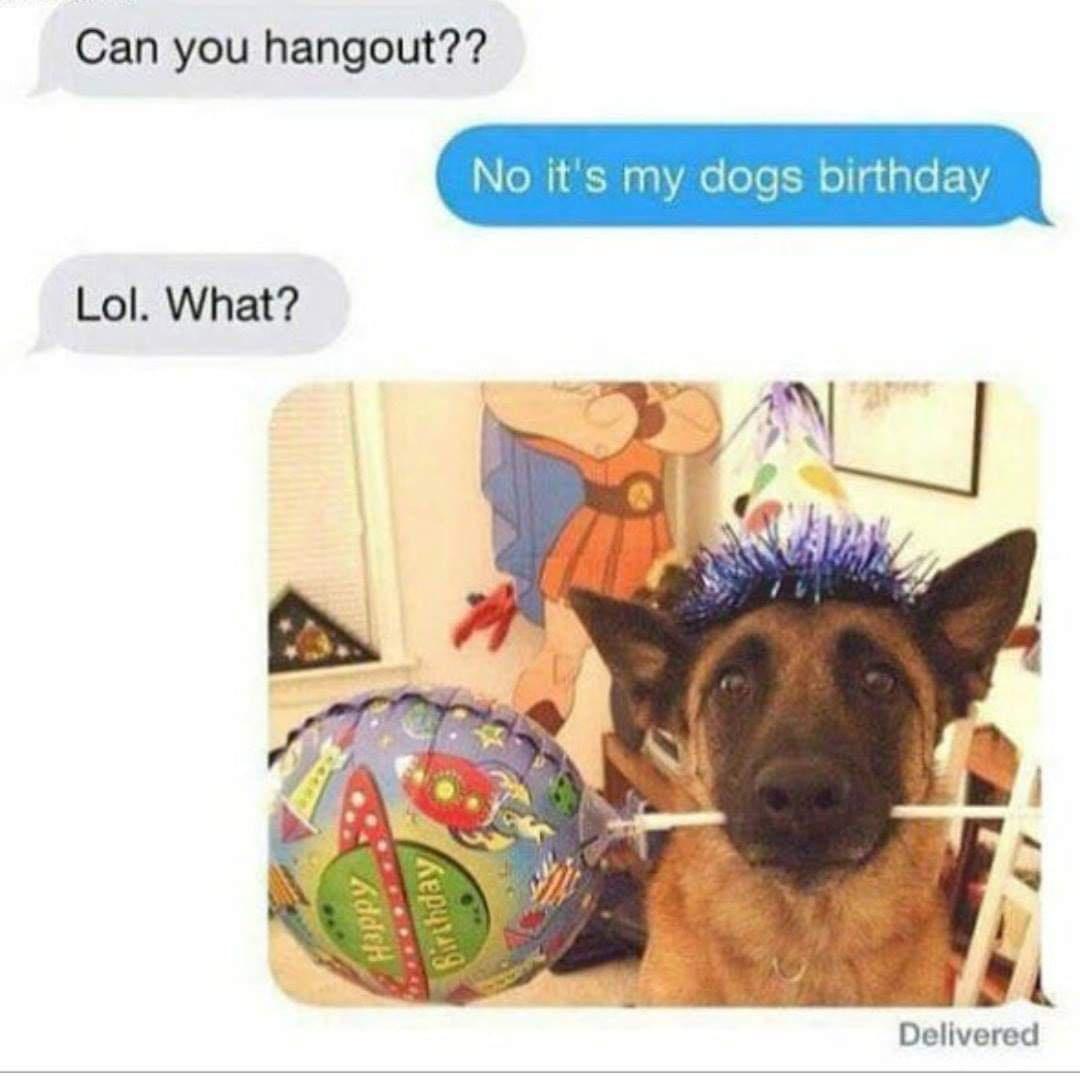 monday morning randomness memes - its my dogs birthday meme - Can you hangout?? Lol. What? Happy Birthday No it's my dogs birthday Delivered