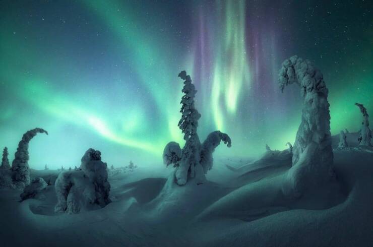 cool pics and memes  - northern lights photographer of the year