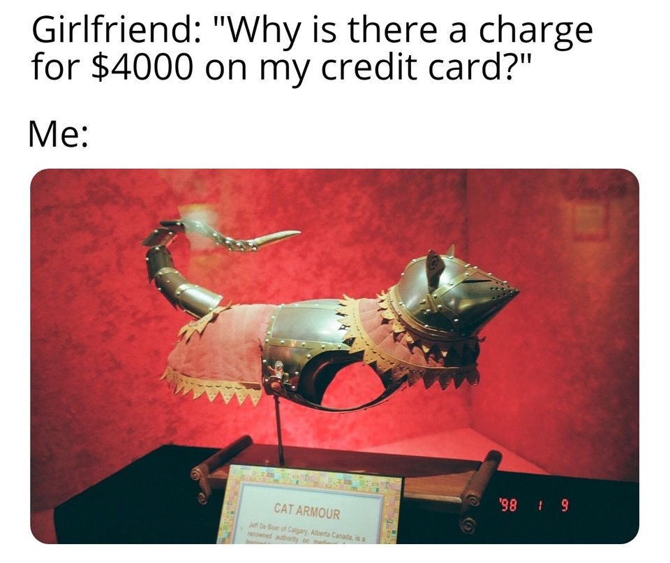 cat armor meme - Girlfriend "Why is there a charge for $4000 on my credit card?" Me Cat Armour Jeff De Boer of Calgary, Alberta Canada, is a renowned authority of ma Insid '98 1 9