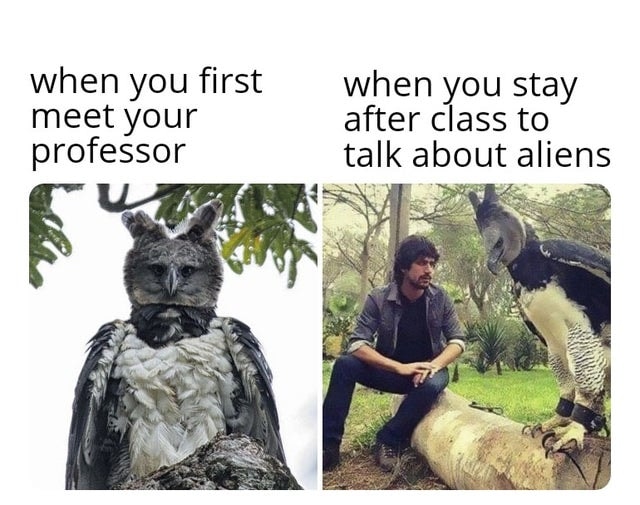 funny dank memes - parque forestal - when you first meet your professor when you stay after class to talk about aliens