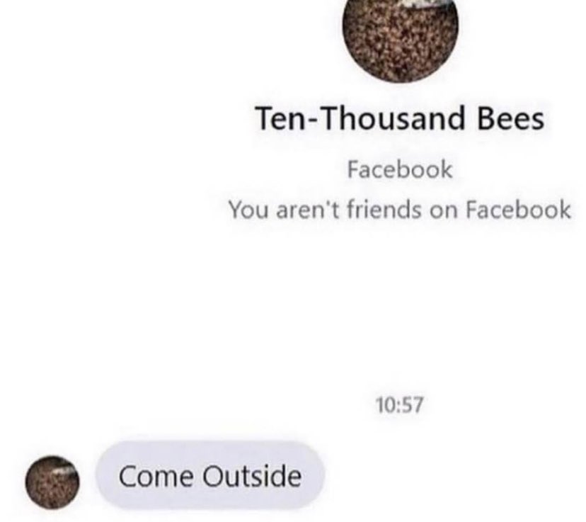 suspicious dms from twitter - -  - TenThousand Bees Facebook You aren't friends on Facebook Come Outside