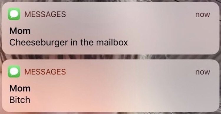 suspicious dms from twitter - cheeseburger in the mailbox - Messages Mom Cheeseburger in the mailbox Messages Mom Bitch now now