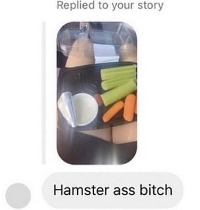 suspicious dms from twitter - plastic - Replied to your story Da Hamster ass bitch