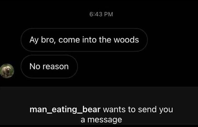suspicious dms from twitter - Funny meme - Ay bro, come into the woods No reason man_eating_bear wants to send you a message
