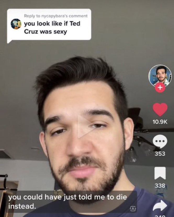 wild tiktok screenshots - beard - to nycapybara's comment you look if Ted Cruz was sexy you could have just told me to die instead. A X 353 338 24