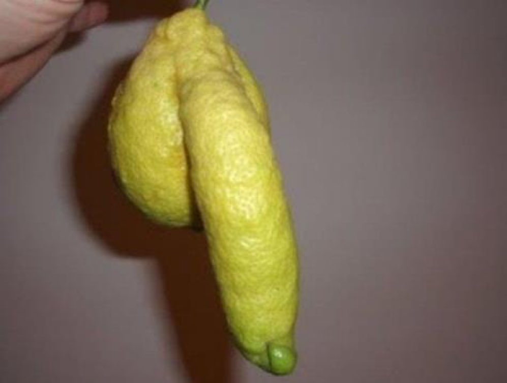 the best of bizarre content - weird lemon