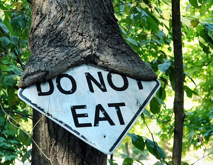 the best of bizarre content - trees eating things - Do Not Eat Hote
