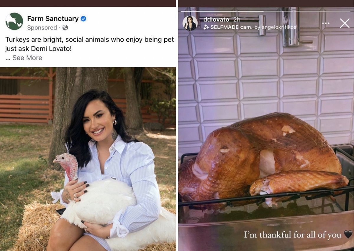 the internet hall of shame - demi lovato turkey meme - Farm Sanctuary Sponsored Turkeys are bright, social animals who enjoy being pet just ask Demi Lovato! ... See More ddlovato 2h Selfmade cam. by angelokritikos X I'm thankful for all of you