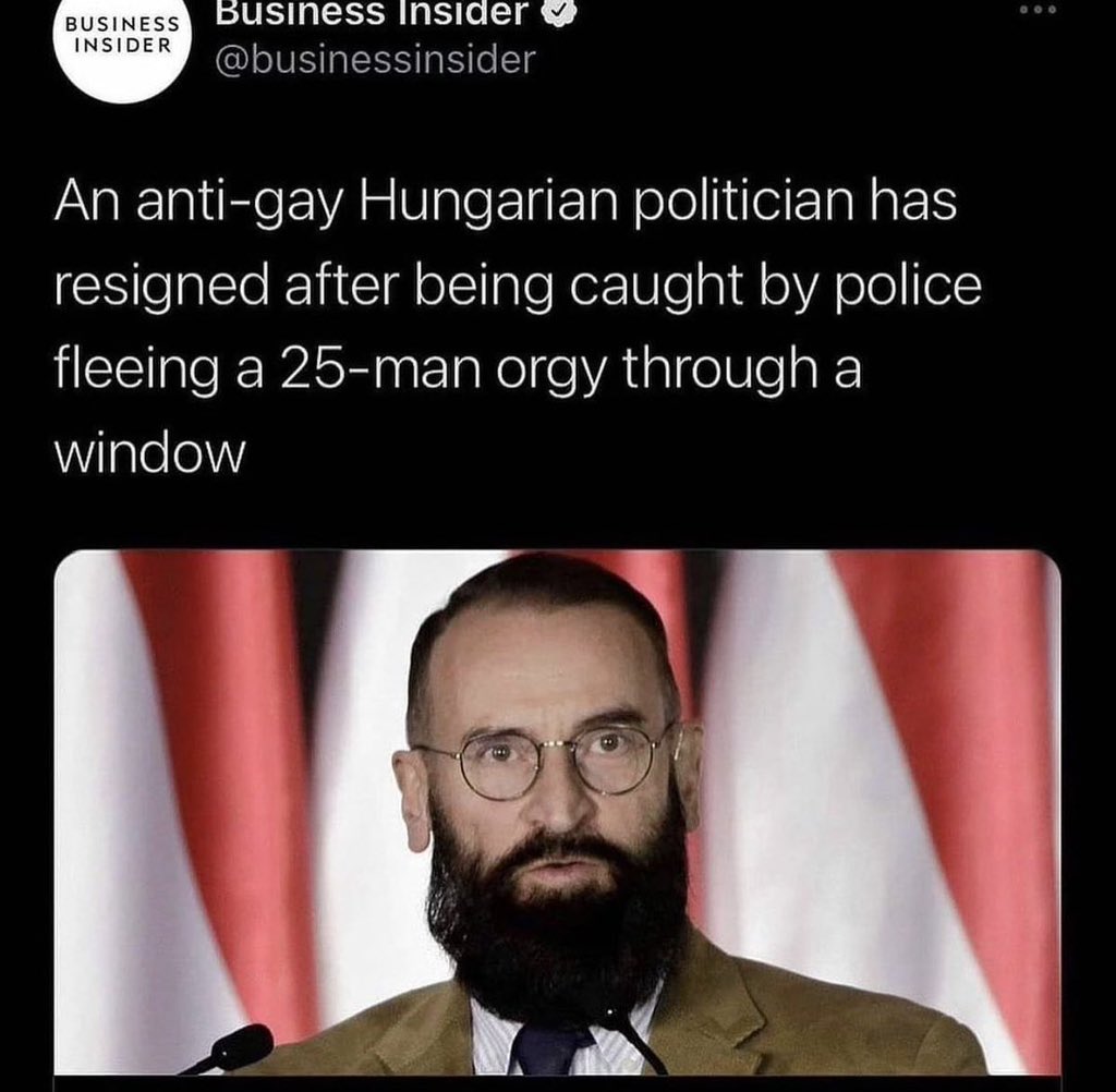 the internet hall of shame - hungarian politician meme - Business Insider Business Insider An antigay Hungarian politician has resigned after being caught by police fleeing a 25man orgy through a window