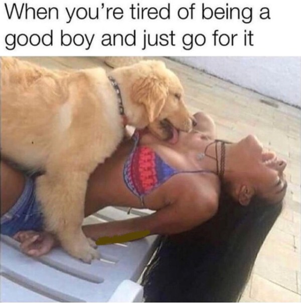 spicy meems - you re tired of being a good boy - When you're tired of being a good boy and just go for it Al