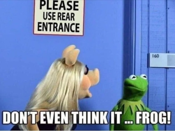 spicy meems - entrance funny meme - Please Use Rear Entrance 160 Don'T Even Think It... Frog!