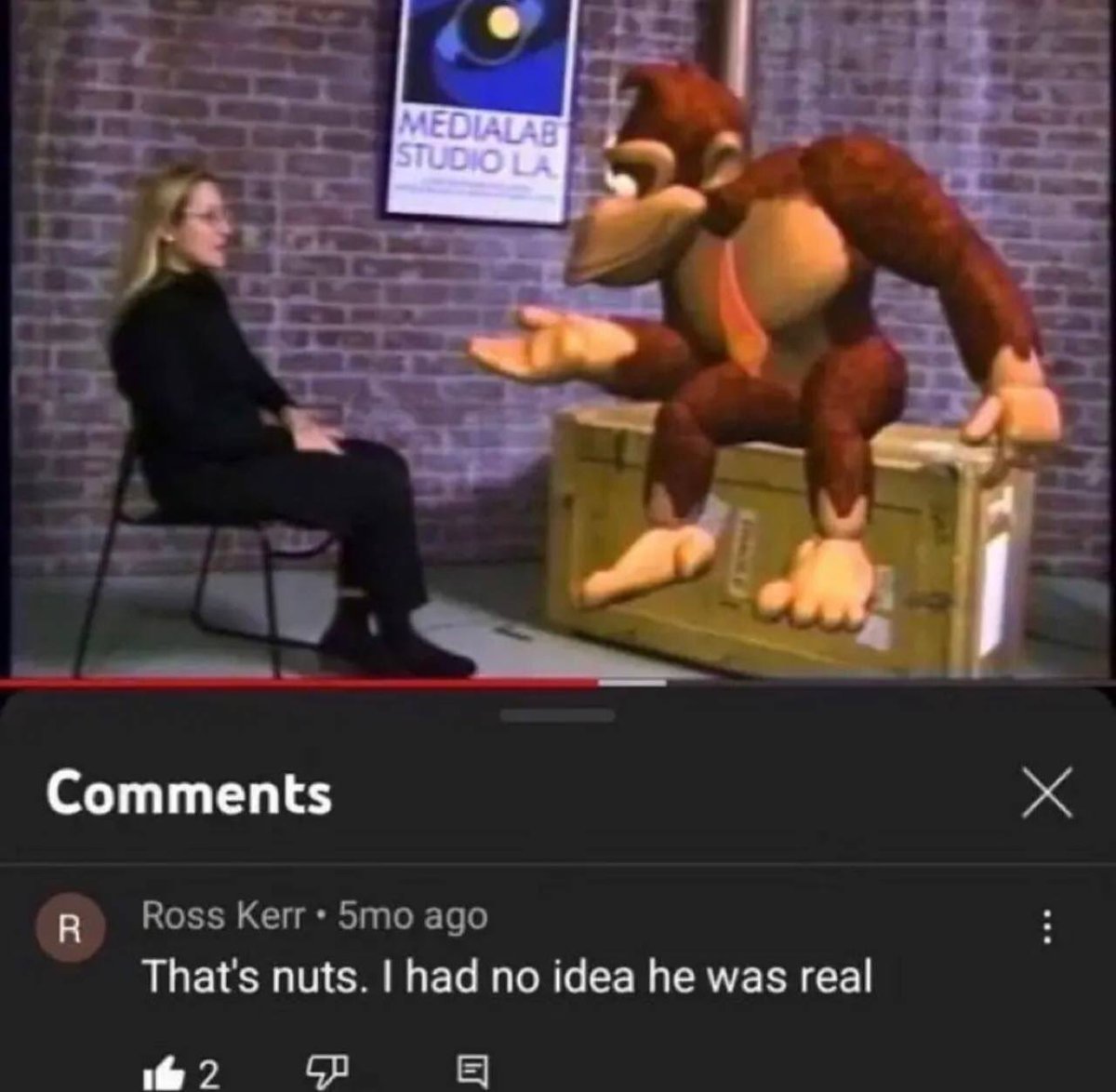 funny and savage youtube comments - donkey kong meme - R Medialab Studio La Ross Kerr 5mo ago That's nuts. I had no idea he was real 12 x