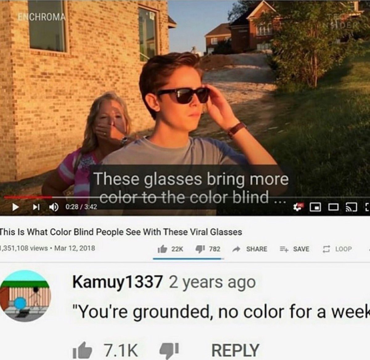 funny and savage youtube comments - sunglasses - Enchroma These glasses bring more color to the color blind ... 14 This Is What Color Blind People See With These Viral Glasses ,351,108 views 4782 . Save Der 5 Loop Kamuy1337 2 years ago