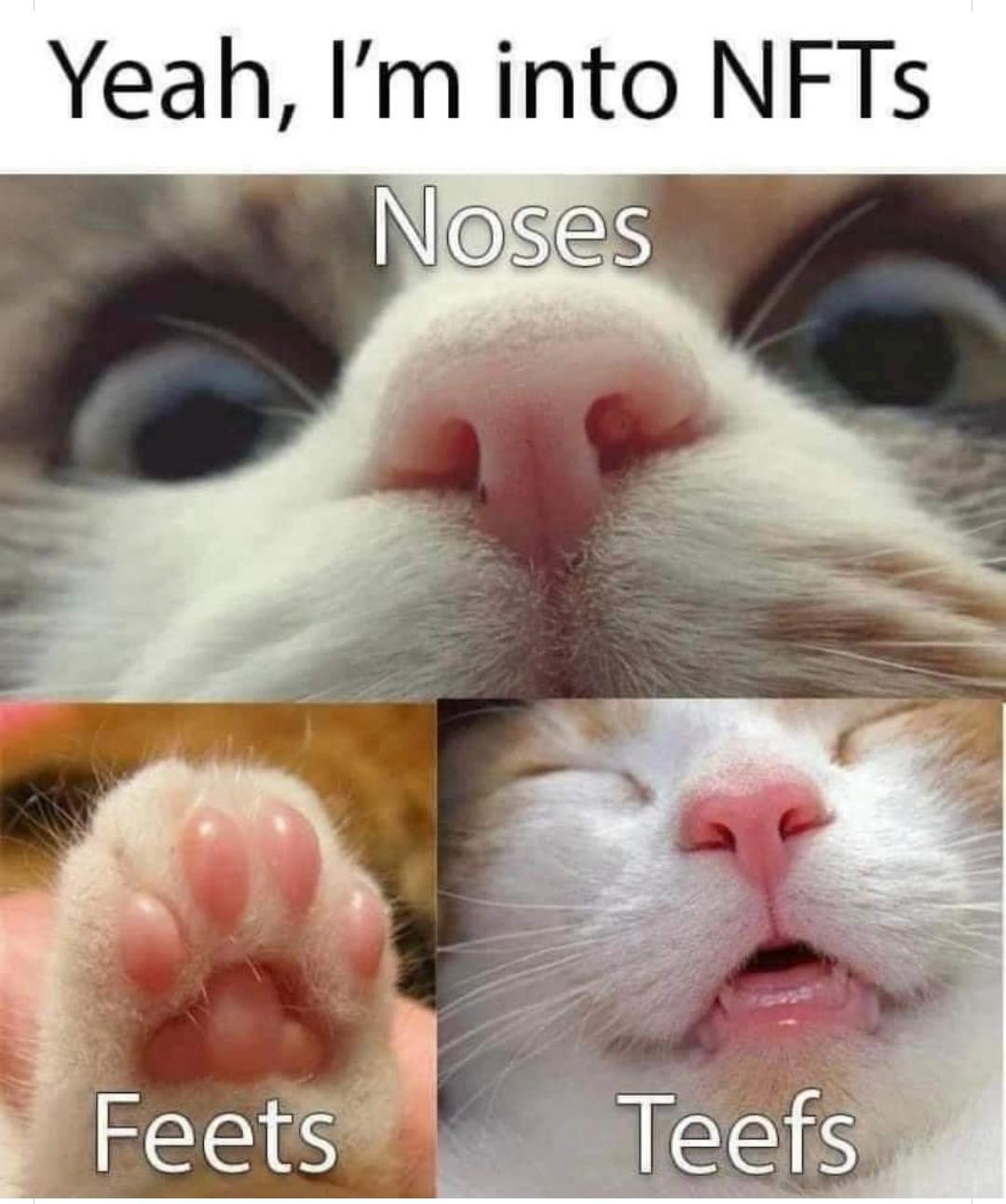 dank memes - yeah i m into nfts noses feets teefs - Yeah, I'm into NFTs Noses Feets Teefs