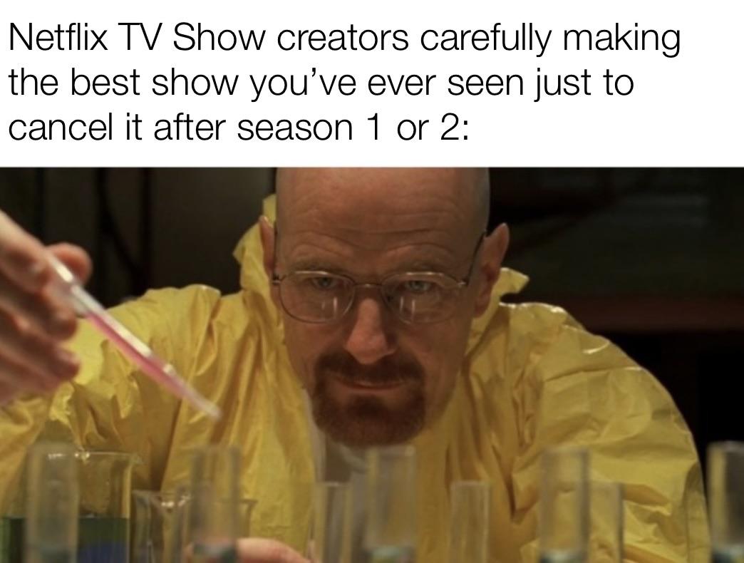 dank memes - meme walter white - Netflix Tv Show creators carefully making the best show you've ever seen just to cancel it after season 1 or 2