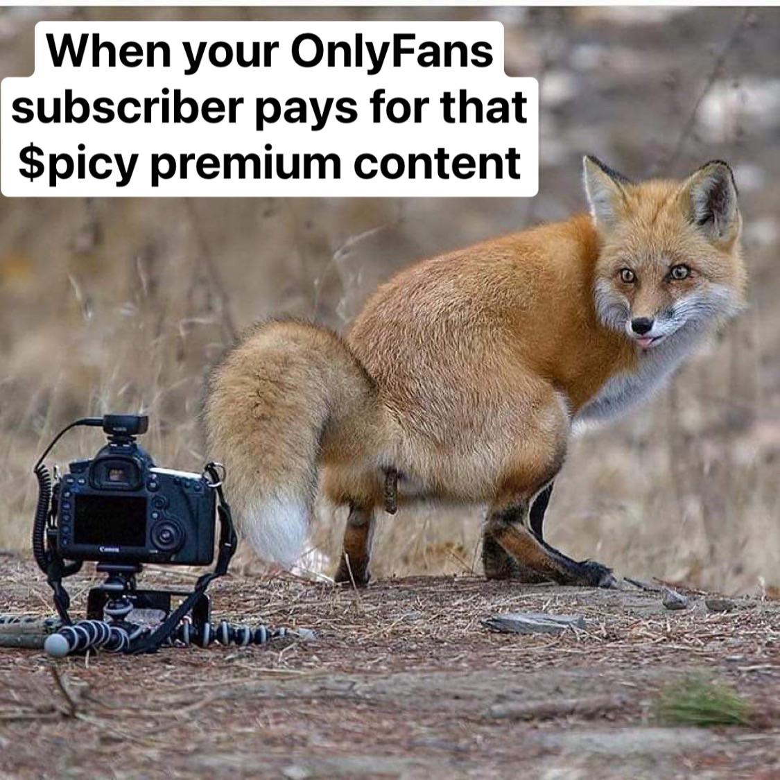 dank memes - random weird - When your OnlyFans subscriber pays for that $picy premium content