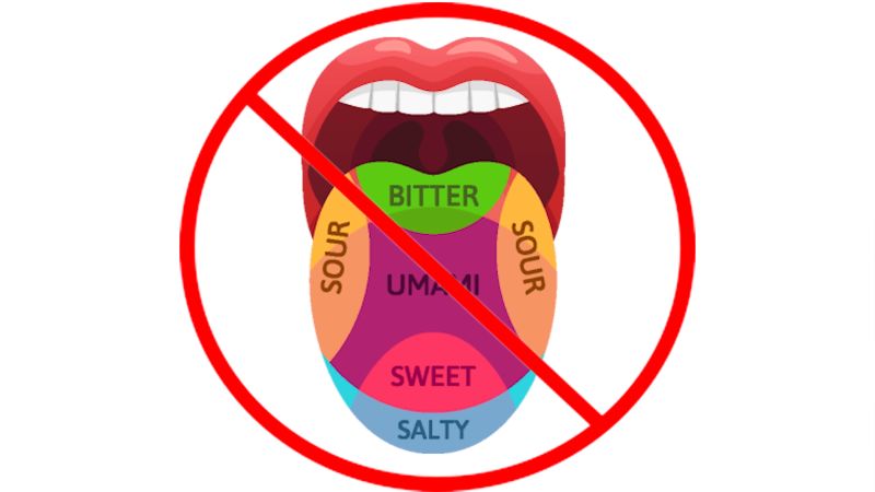 common misconceptions - tongue taste map - Sour Bitter Uma I Sweet Salty Sour