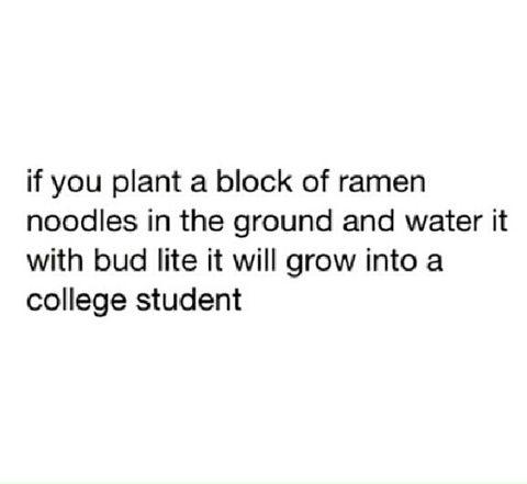 my lonely - if you plant a block of ramen noodles in the ground and water it with bud lite it will grow into a college student
