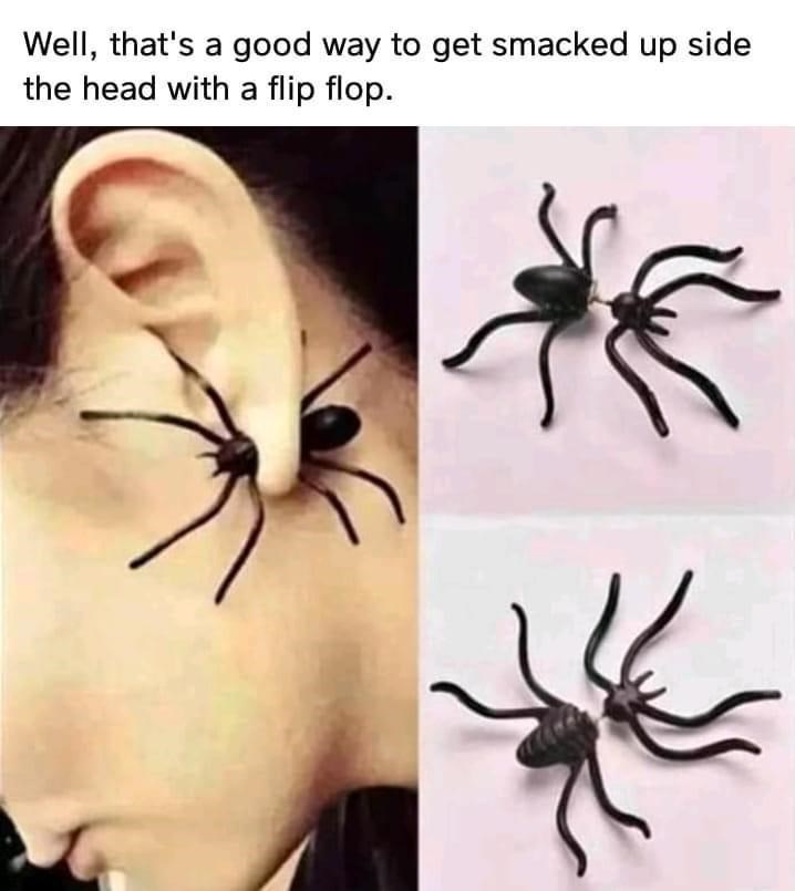 spider earrings - Well, that's a good way to get smacked up side the head with a flip flop.