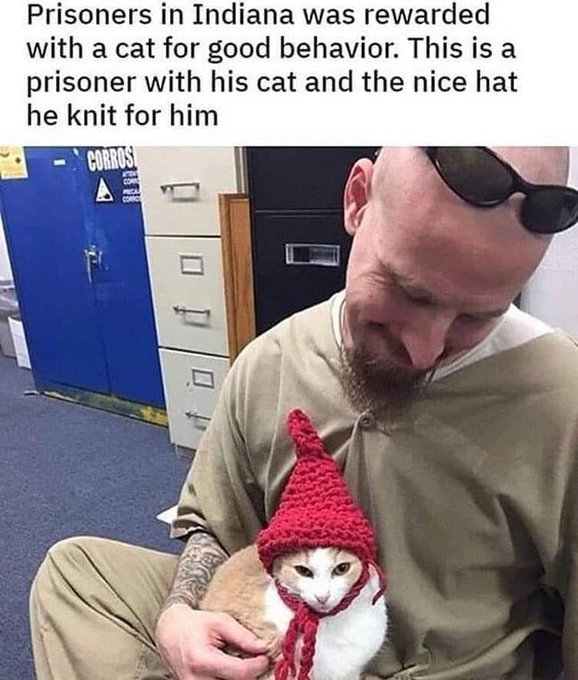 bros helping bros - indiana cat prison program - Prisoners in Indiana was rewarded with a cat for good behavior. This is a prisoner with his cat and the nice hat he knit for him Corros Atda Com Peca Com Tour