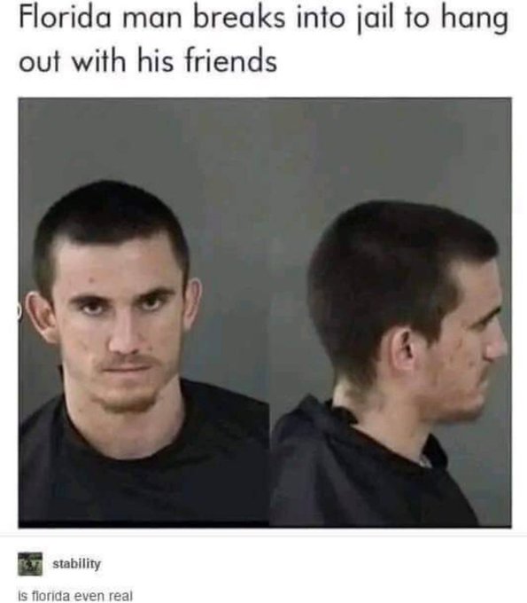bros helping bros - florida crazy people - Florida man breaks into jail to hang out with his friends stability is florida even real