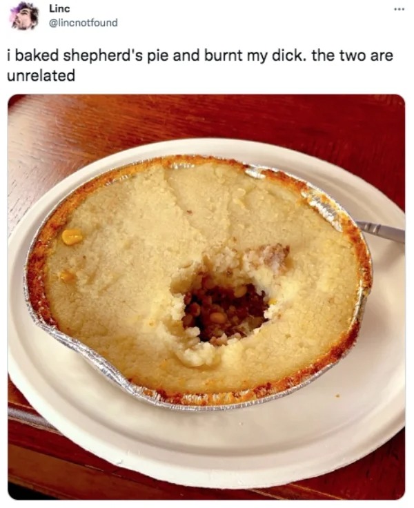spicy sex memes - dish - Linc i baked shepherd's pie and burnt my dick. the two are unrelated