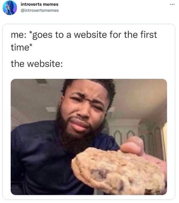 funny comments and replies - photo caption - introverts memes me goes to a website for the first time the website