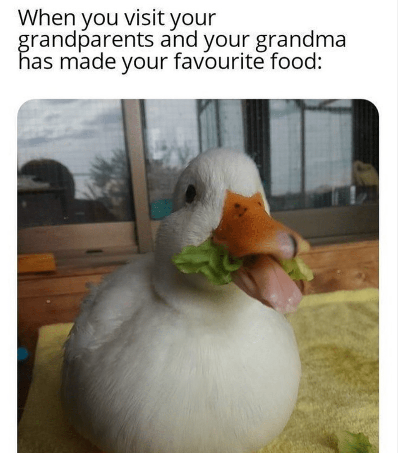 monday morning randomness - duck memes - When you visit your grandparents and your grandma has made your favourite food
