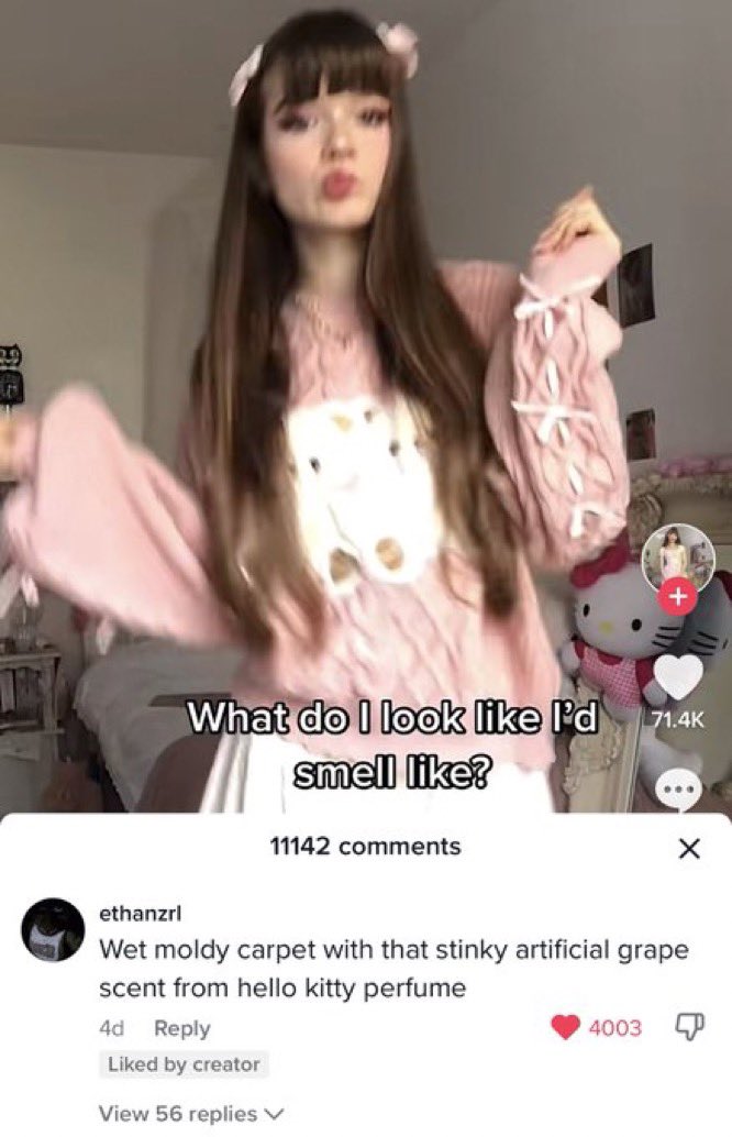wild tiktok screenshots - photo caption - What do I look I'd smell ? 11142 4d d by creator View 56 replies ethanzrl Wet moldy carpet with that stinky artificial grape scent from hello kitty perfume 4003 X