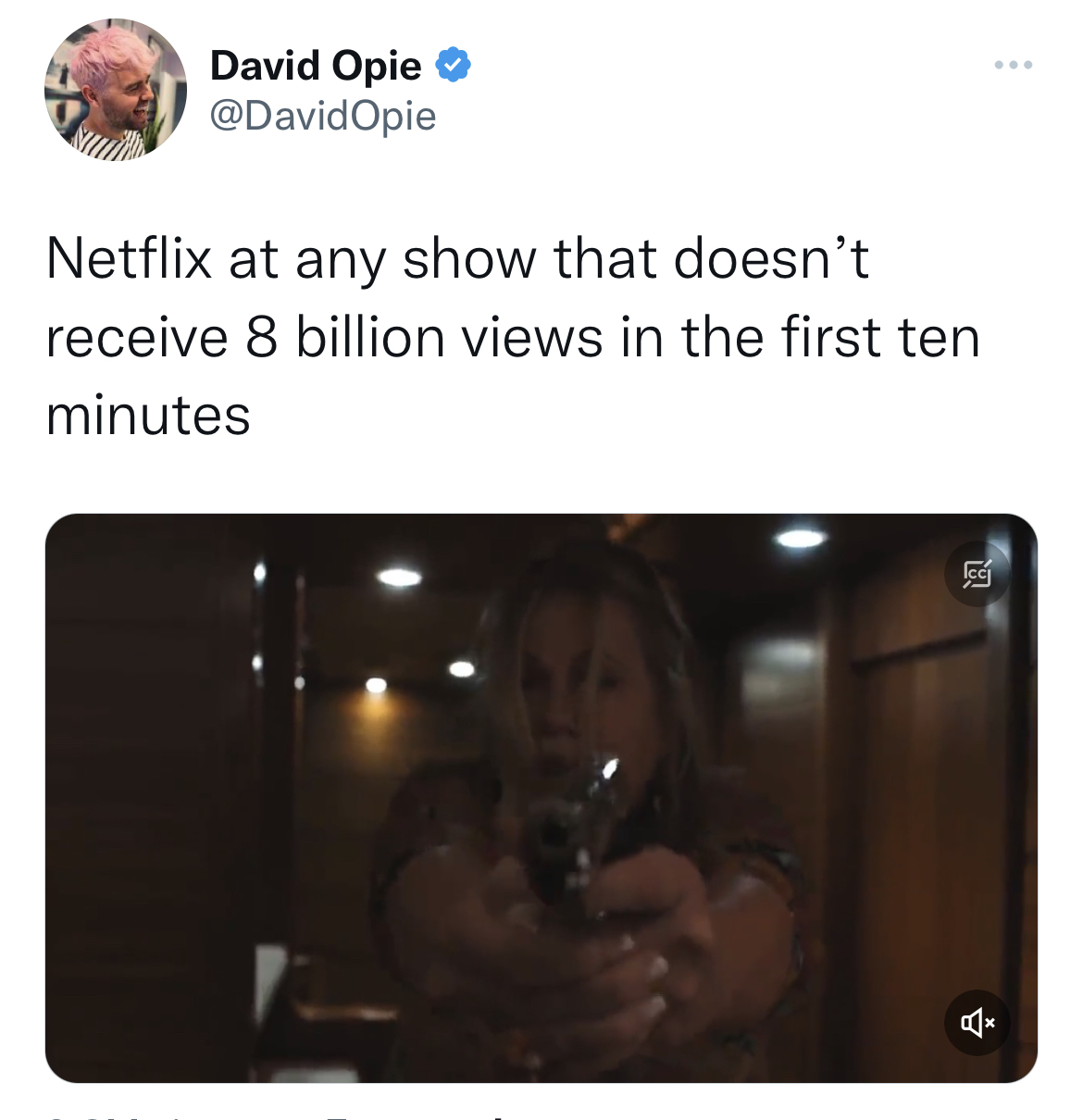 Tweets dunking on celebs - photo caption - David Opie Netflix at any show that doesn't receive 8 billion views in the first ten minutes 19