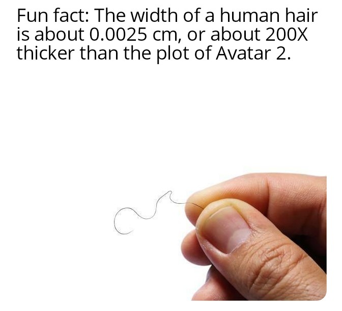 dank memes and pics - hand - Fun fact The width of a human hair is about 0.0025 cm, or about 200X thicker than the plot of Avatar 2.