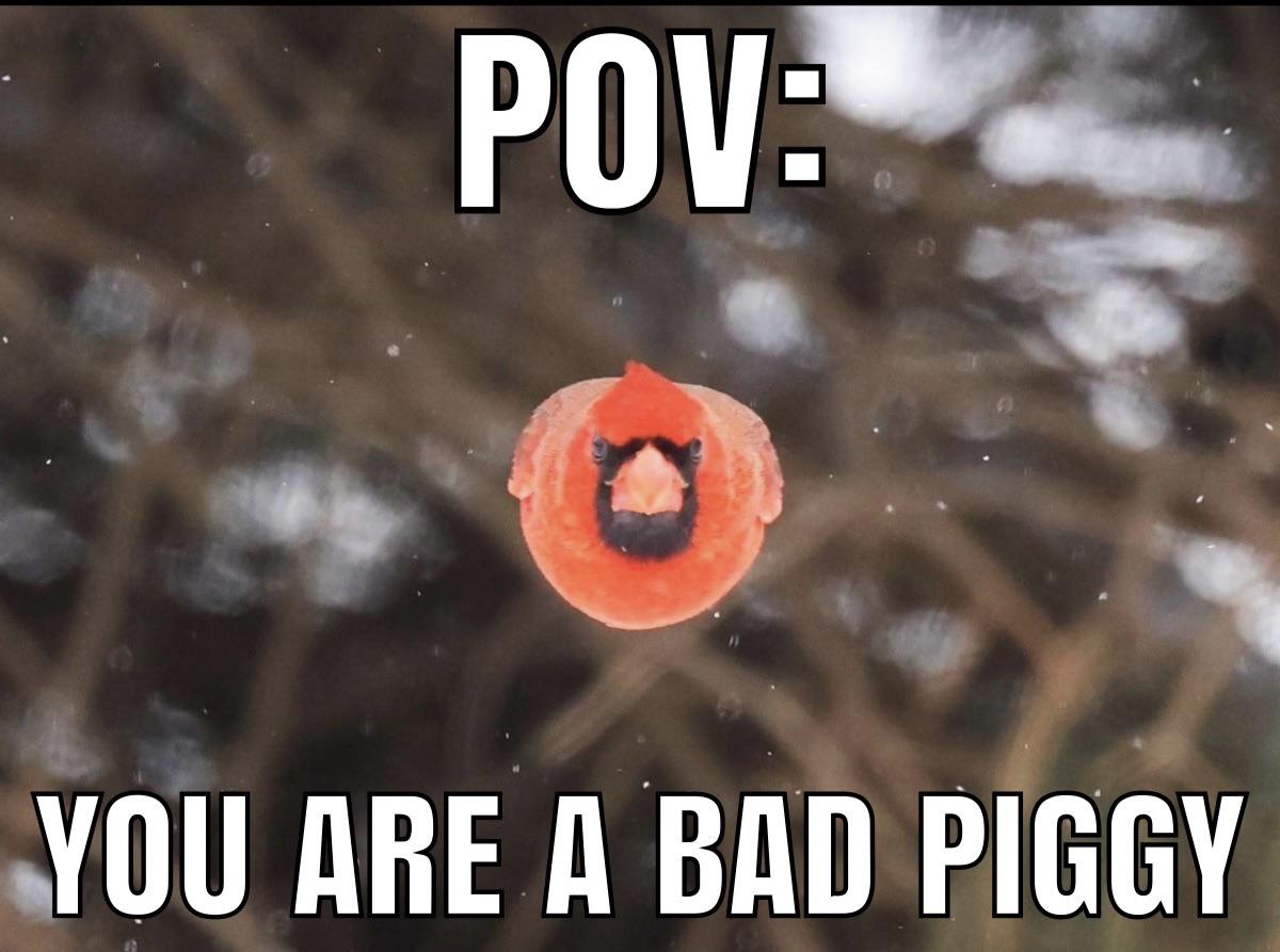 dank memes and pics - photo caption - Pov You Are A Bad Piggy