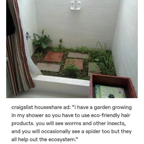 funny and random pics - plants on shower floor - craigslist house ad "i have a garden growing in my shower so you have to use ecofriendly hair products. you will see worms and other insects, and you will occasionally see a spider too but they all help out
