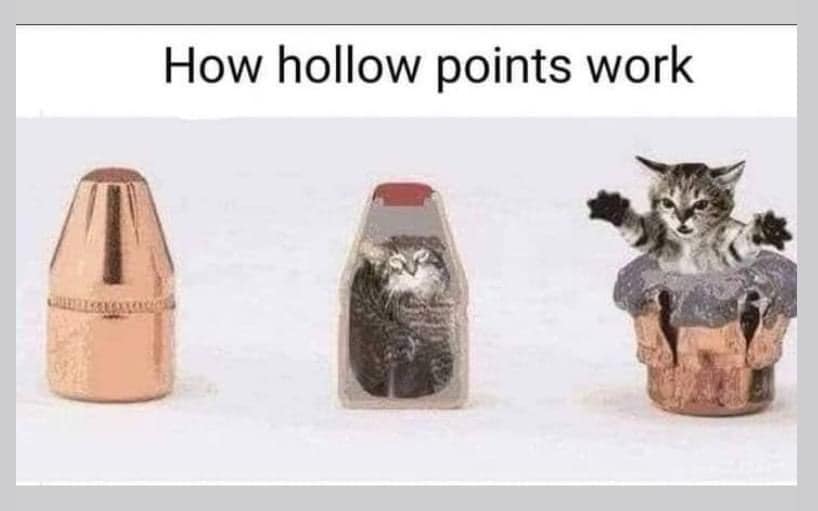funny and random pics - hollow points work kitten - How hollow points work