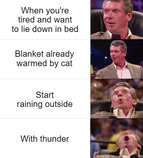 funny memes - facial expression - When you're tired and want to lie down in bed Blanket already warmed by cat Start raining outside With thunder